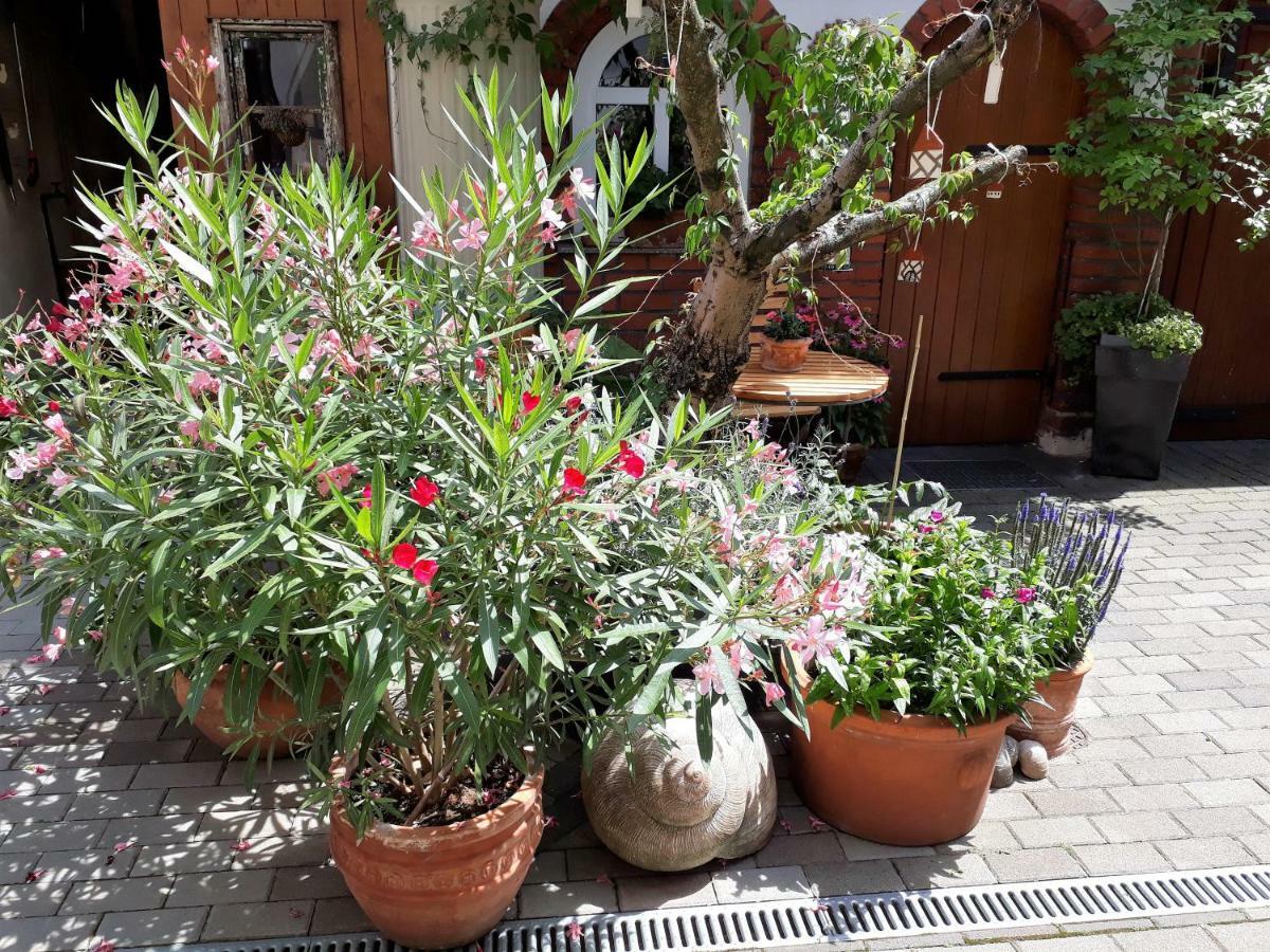 Apartment Zeitreise Quedlinburg Zewnętrze zdjęcie