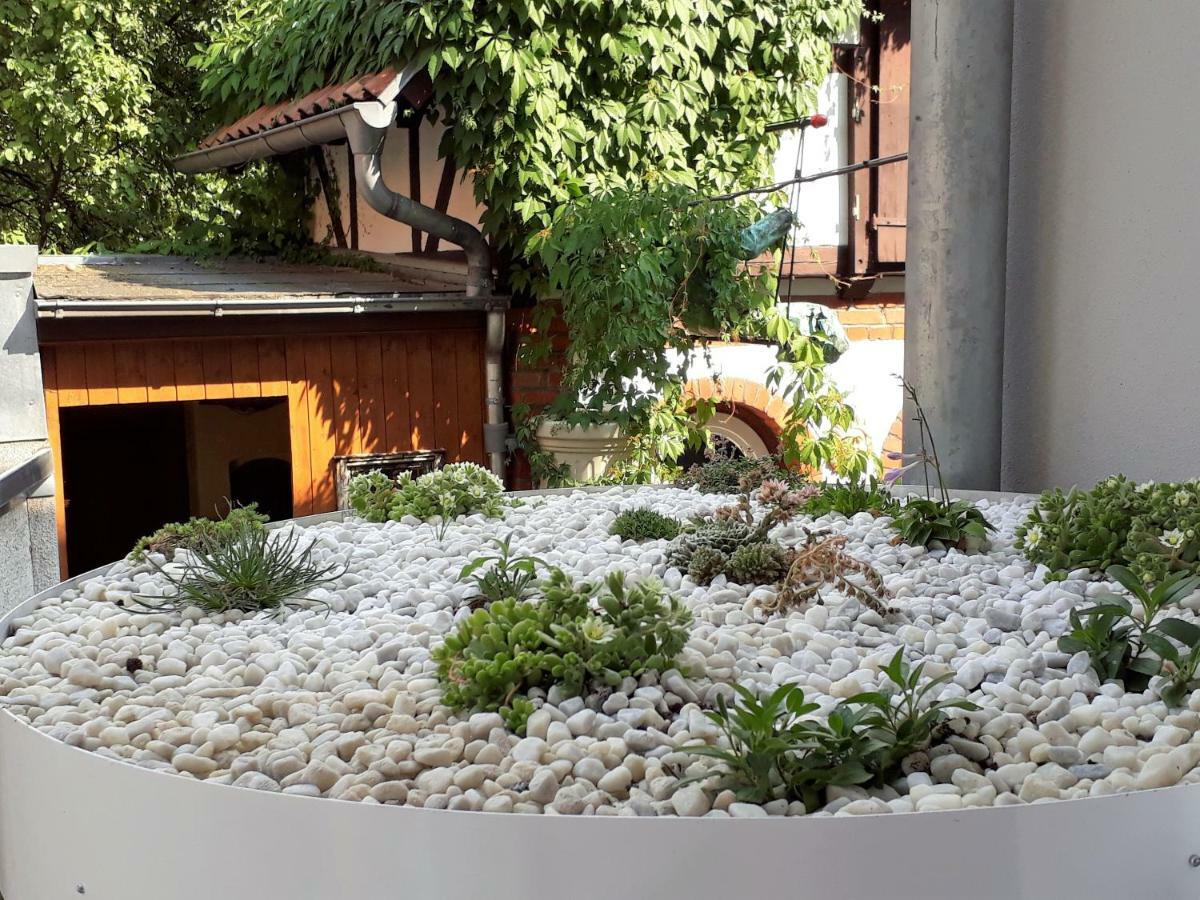 Apartment Zeitreise Quedlinburg Zewnętrze zdjęcie