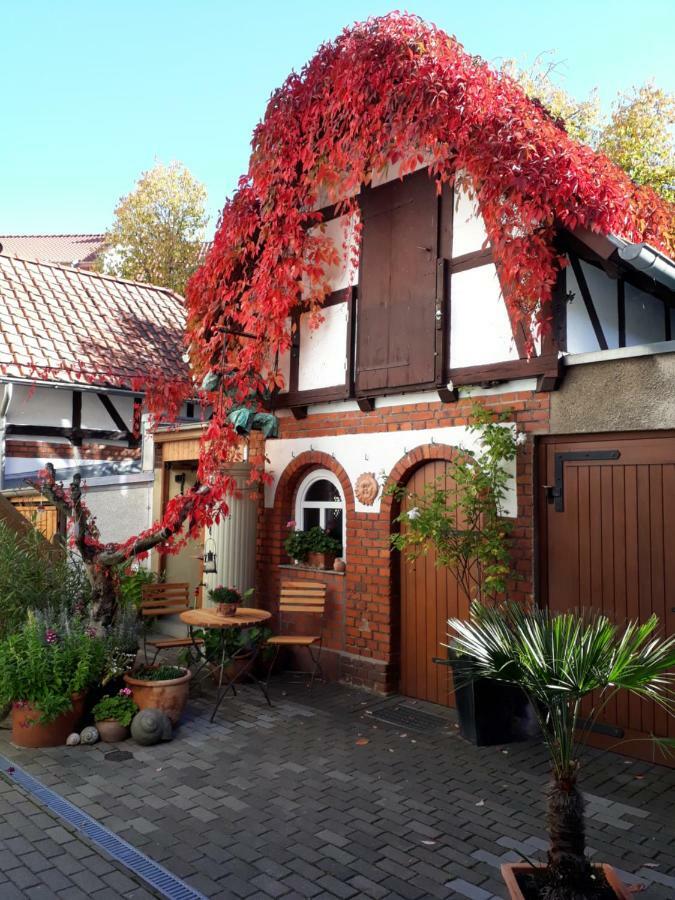 Apartment Zeitreise Quedlinburg Zewnętrze zdjęcie